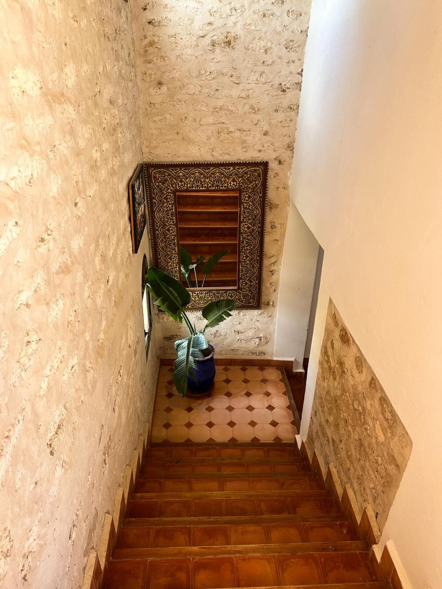 Riad Titima الصويرة المظهر الخارجي الصورة